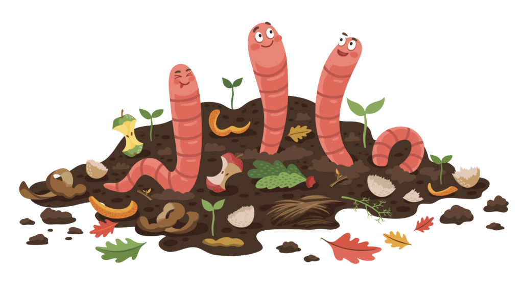 Eine Zeichnung mit drei grinsenden, zufriedenen Regenwürmerm auf einem Komposthaufen.